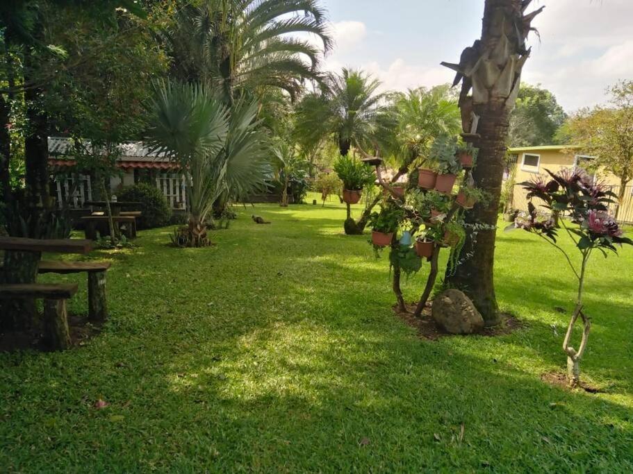 Eco Villas Tambor Tucanes Екстер'єр фото