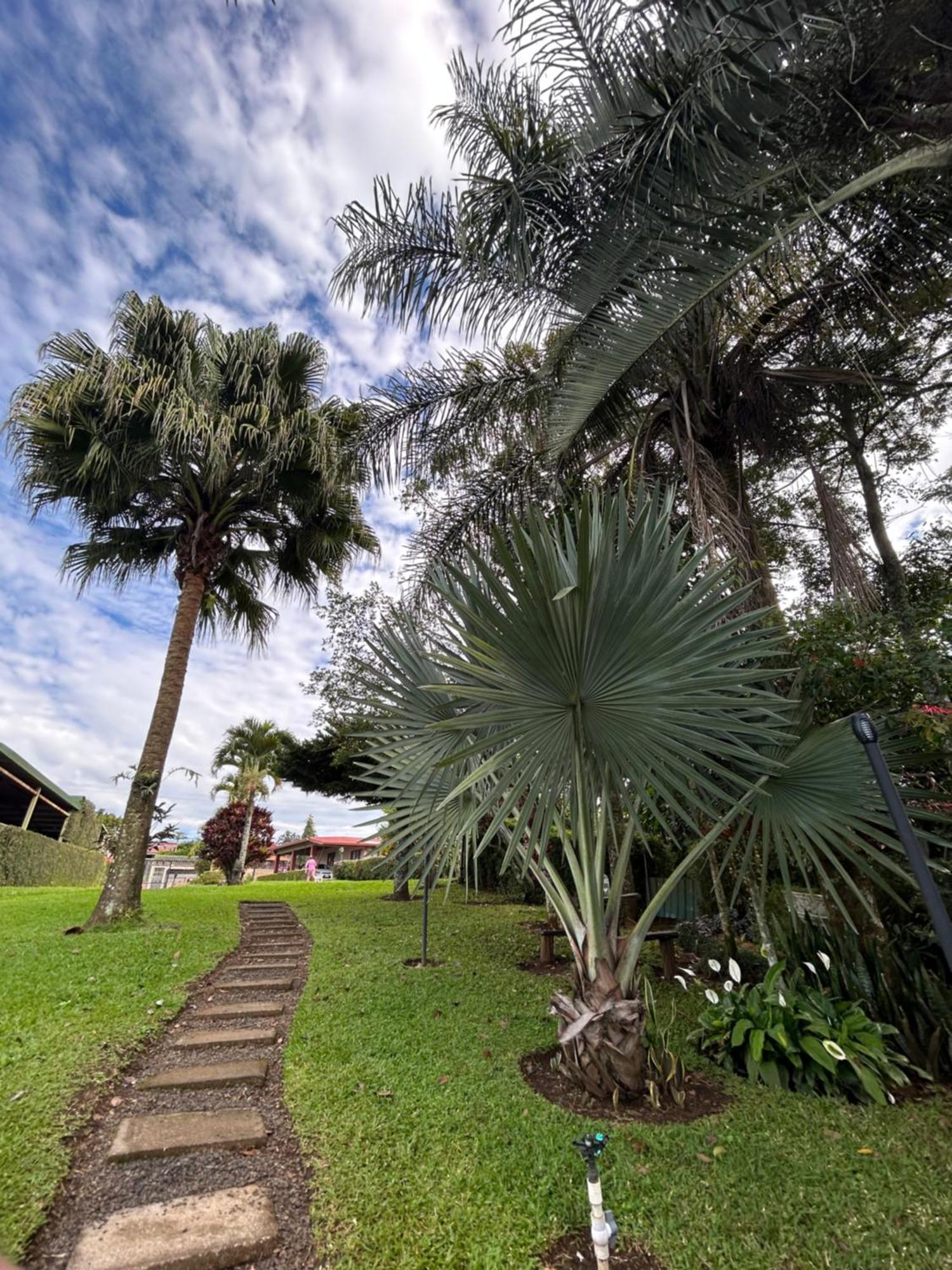 Eco Villas Tambor Tucanes Екстер'єр фото